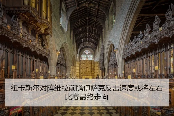 纽卡斯尔对阵维拉前瞻伊萨克反击速度或将左右比赛最终走向