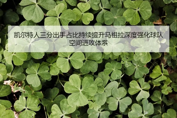 凯尔特人三分出手占比持续提升马祖拉深度强化球队空间进攻体系